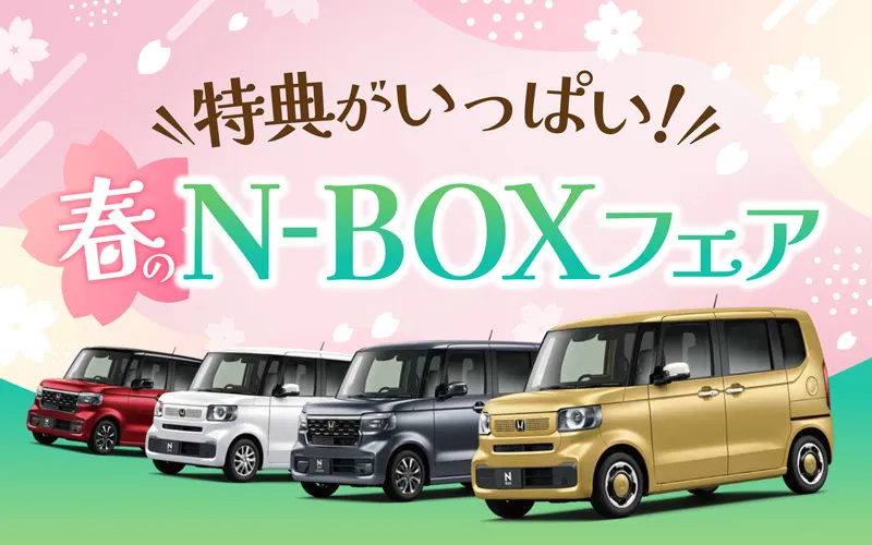 tN-BOXtFA